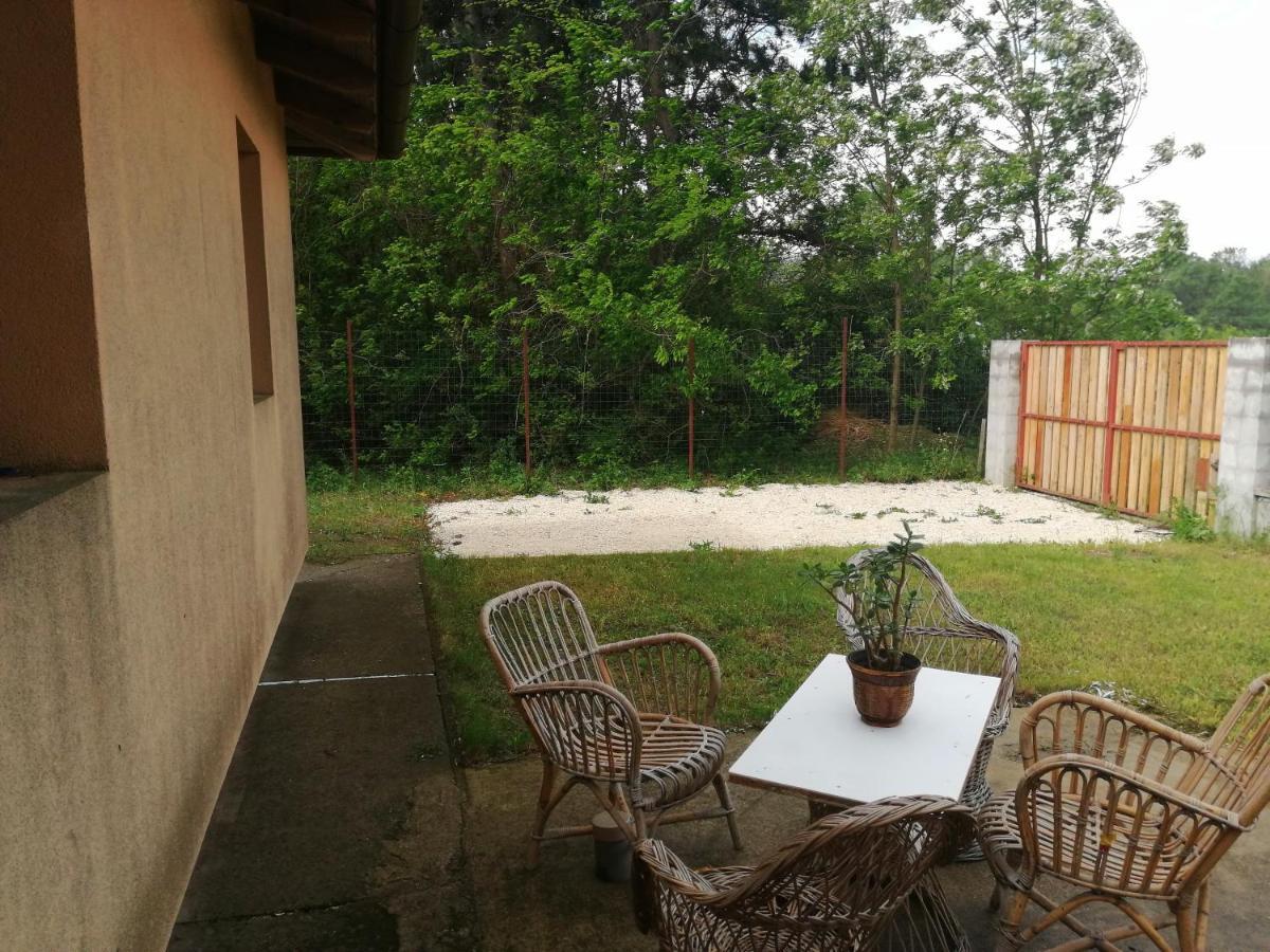 Vízaknai Apartmanház Szekesfehervar Exterior foto