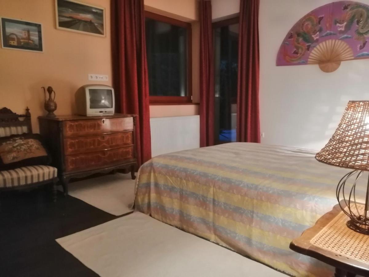 Vízaknai Apartmanház Szekesfehervar Exterior foto